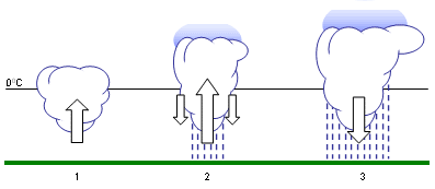 Bild 5: Entwicklungsstadien einer Gewitterzelle vom  Jugendstadium (1) ber Reifestadium (2) bis zum Alterungsstadium (3)
